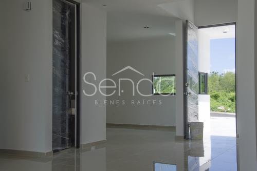 2019-09-10_23_51_18_05_19WE-06_PALMAR IV_10.jpg